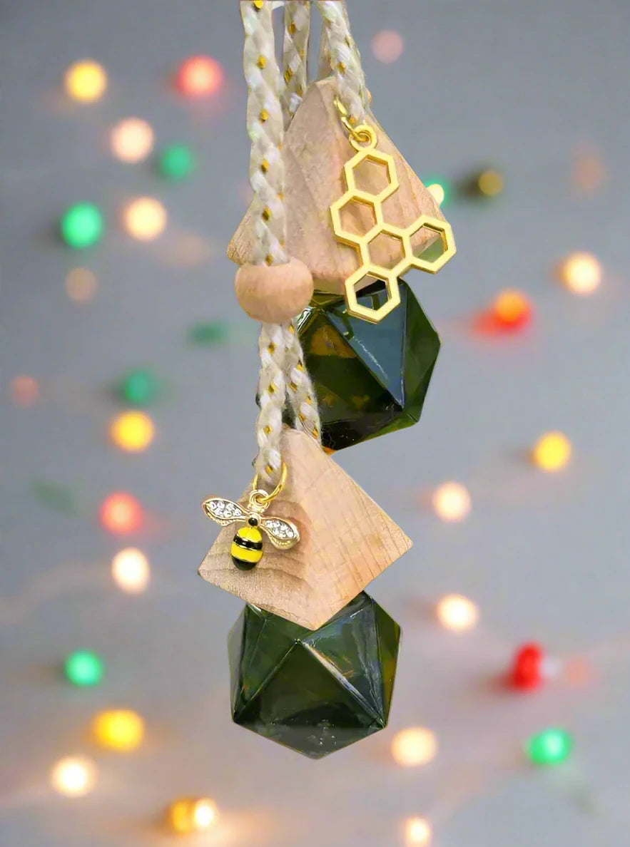 Winter Hanging Car Diffusers